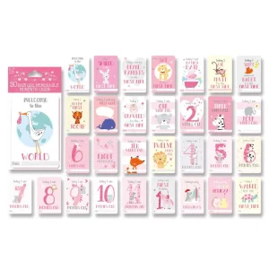 Baby “Moments” Milestone Cards – Girl Edition by Eurowrap CLEARANCE‼️