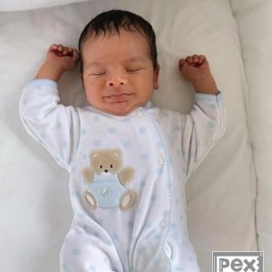 Sky "Teddy Spot" All In One (3-5lbs)