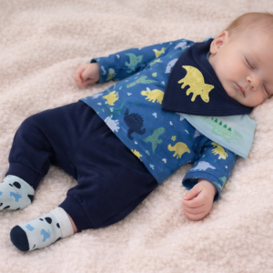 Dinosaur Print Seven Piece Layette Set (0-18 Months) CLEARANCE‼️